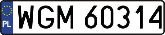 WGM60314