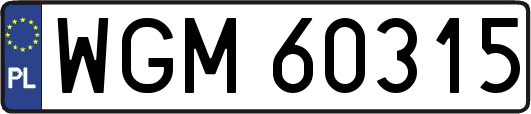 WGM60315