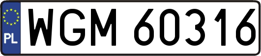 WGM60316