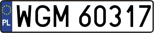 WGM60317