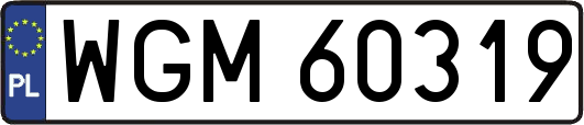 WGM60319