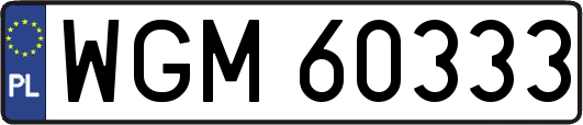 WGM60333