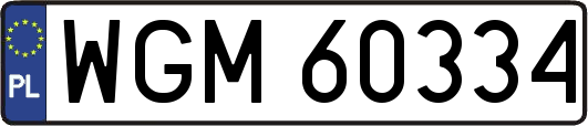 WGM60334