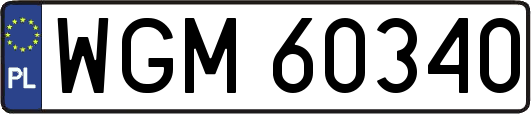 WGM60340