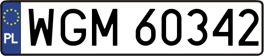 WGM60342