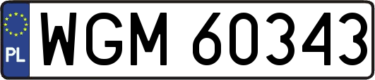 WGM60343