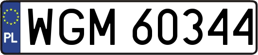 WGM60344