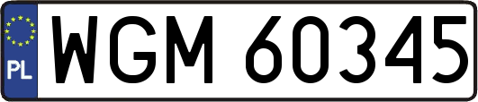 WGM60345