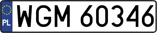 WGM60346
