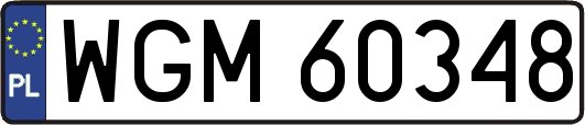 WGM60348