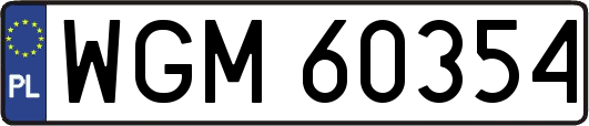 WGM60354