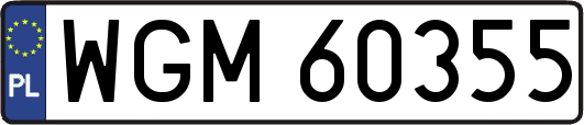 WGM60355