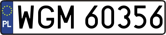 WGM60356