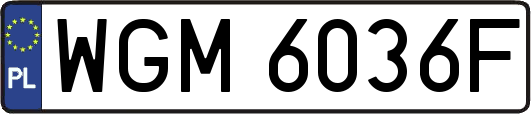 WGM6036F