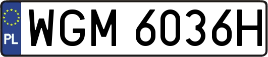 WGM6036H