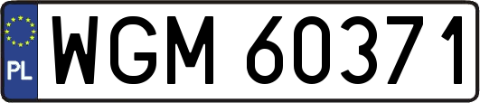 WGM60371