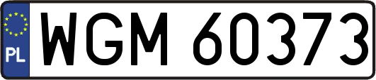 WGM60373