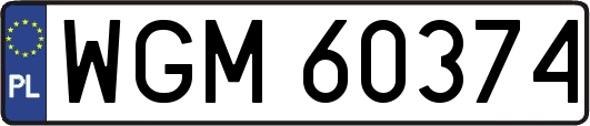 WGM60374