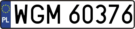 WGM60376
