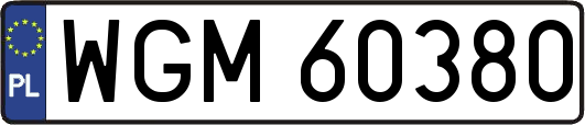 WGM60380