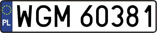 WGM60381