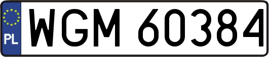 WGM60384