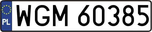 WGM60385