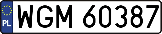 WGM60387