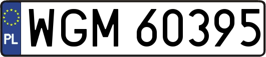 WGM60395