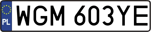 WGM603YE