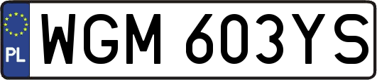 WGM603YS