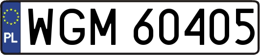 WGM60405