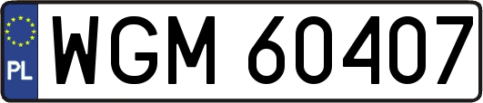 WGM60407