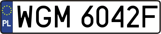 WGM6042F