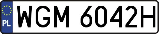 WGM6042H
