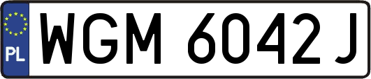 WGM6042J