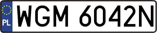 WGM6042N