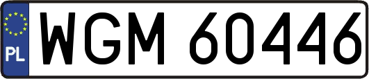 WGM60446