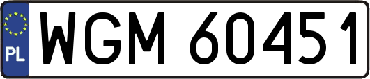 WGM60451