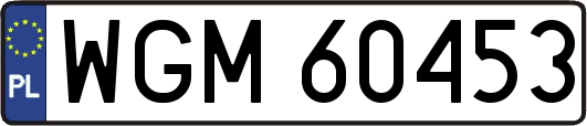 WGM60453
