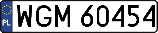 WGM60454