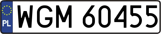 WGM60455