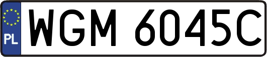 WGM6045C