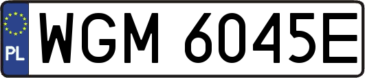 WGM6045E