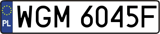 WGM6045F