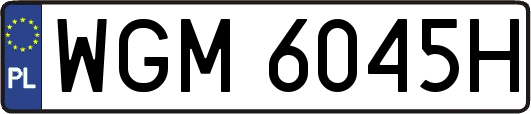 WGM6045H