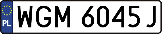 WGM6045J
