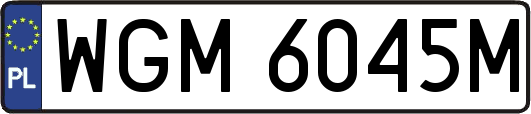 WGM6045M