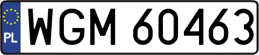 WGM60463