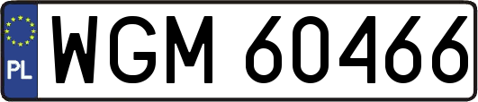WGM60466
